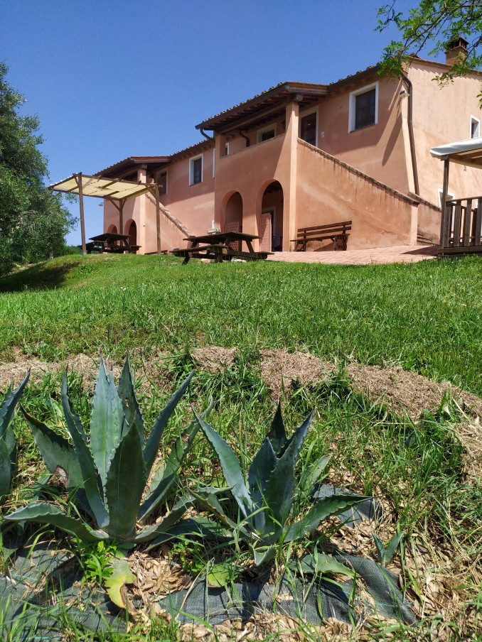  - Podere della Collina